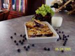 American Low Fat Sugarless Blueberry Squares Dessert