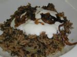 American Megadarra Esaus Dish or Lentils With Rice Appetizer