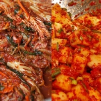 Korean Kimchi and kaktugi Appetizer