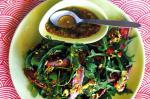Thai Thai Beef Salad Recipe 12 Appetizer