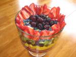 American Fruit Salad With Vanilla Bean Syrup Dessert