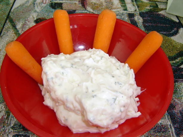 American Mozzarella Cheese Dip Appetizer