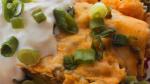 Mexican Enchiladas Suizas Recipe Appetizer