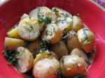 American Lemonbasil Potatoes Dinner