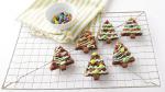 Canadian Double Chocolate Christmas Tree Cookie Appetizer