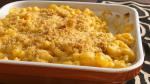 Canadian Macaroni and Cheese makeover Appetizer