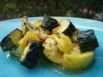 Italian Grilled and Marinated Zucchini and Yellow Squash Recipe Appetizer