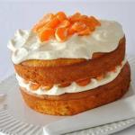 American Cake with Cream of Citrus Fruit Dessert