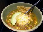 Chilean Lizs Spicy Chicken and Green Chile Soup Dinner
