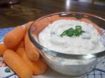 Canadian Toasted Onion Dip Appetizer