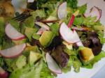 American Avocado Radish Salad Appetizer