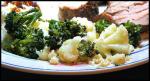 American Garlic Broccoli 4 Appetizer
