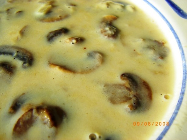 American Minute Cream of Mushroom Soup Appetizer