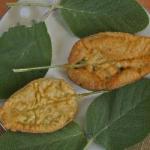 Canadian Fried Sage Leaves List Appetizer