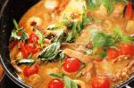 Thai Red Duck Curry Recipe 1 Dinner