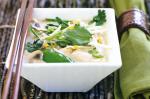 Thai Thaistyle Coconut And Chicken Soup Recipe Dinner
