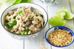 Thai Thai Larb Moo minced Pork Salad Recipe Appetizer