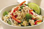 Thai Thai Style Chicken and Rice Noodle Stirfry Recipe Appetizer