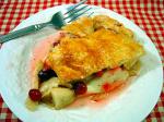 American Apple and Cranberry Pie Dessert