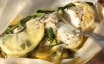 American Basic Fish Baked in Parchment Recipe Dinner