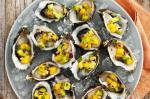 Oysters With Avocado And Mango Salsa Recipe recipe