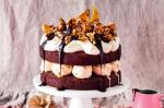 American Wicked Chocolate Brownie And Praline Icecream Cake Recipe Dessert