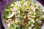American Crunchy Leaf Salad Dinner