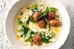 Italian Green Risotto With Sausage Recipe Appetizer