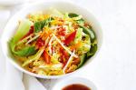 American Crunchy Pak Choy And Sprout Salad Recipe Appetizer