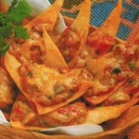 American Spicy Tortilla Triangles Appetizer
