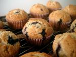 American Healthy Berry Blue Muffins Dessert