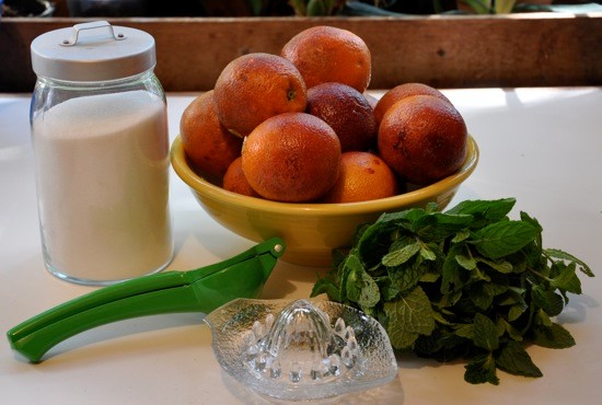 American Minty Blood Orange Sorbet Dessert