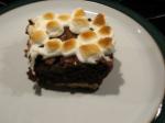 American Smores Brownie Squares Dessert