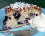 American Tons of Blueberry Coffee Cake Dessert