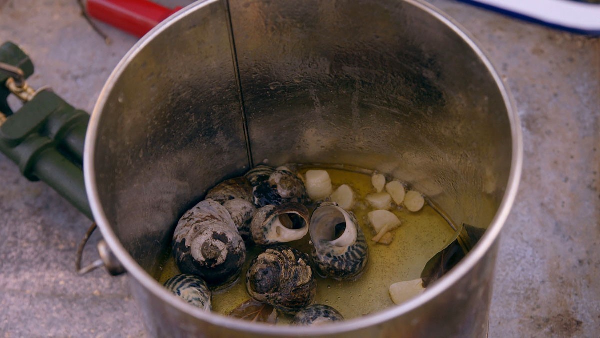 British Periwinkles with White Wine and Bay Leaves Appetizer