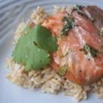 Grilled Cilantro Salmon Recipe recipe