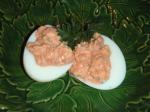 Canadian Sardine Stuffed Eggs huevos Picantes Appetizer