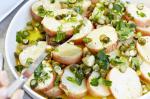 American Potato Salad Recipe 105 Appetizer