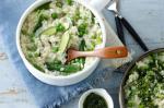 American Spring Vegetable Risotto Recipe Appetizer