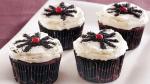 American Halloween Spider Cupcakes 2 Dessert