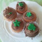 Canadian Minicupcakes Chocolate and Vanilla Dessert