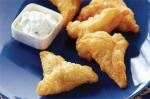 American Vegetable Samosa Recipe Appetizer