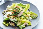 Italian Fried Fennel And Tuna Salad With Tonnato Dressing Recipe Appetizer