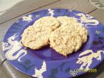 American Coconut Oatmeal Cookies 15 Dessert