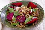 American Lentils With Roasted Beetroot And Goats Cheese Recipe Appetizer