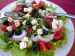 American Kittencals Greek Marinated Tomato Olive and Feta Salad Dinner