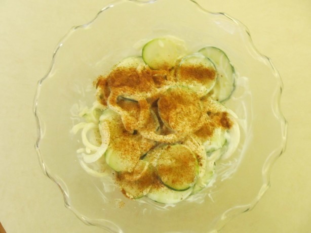 American Cucumber and Onion Salad 10 Appetizer