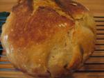 Canadian Noknead Sourdough Bread Appetizer