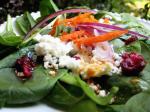 American Feta and Red Onion Spinach Salad Appetizer