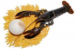 American Lobster Pastitsio Recipe Appetizer